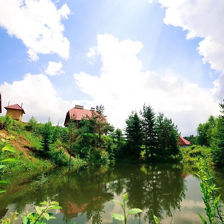 Villa Buhiv Skhidnytsia Dış mekan fotoğraf