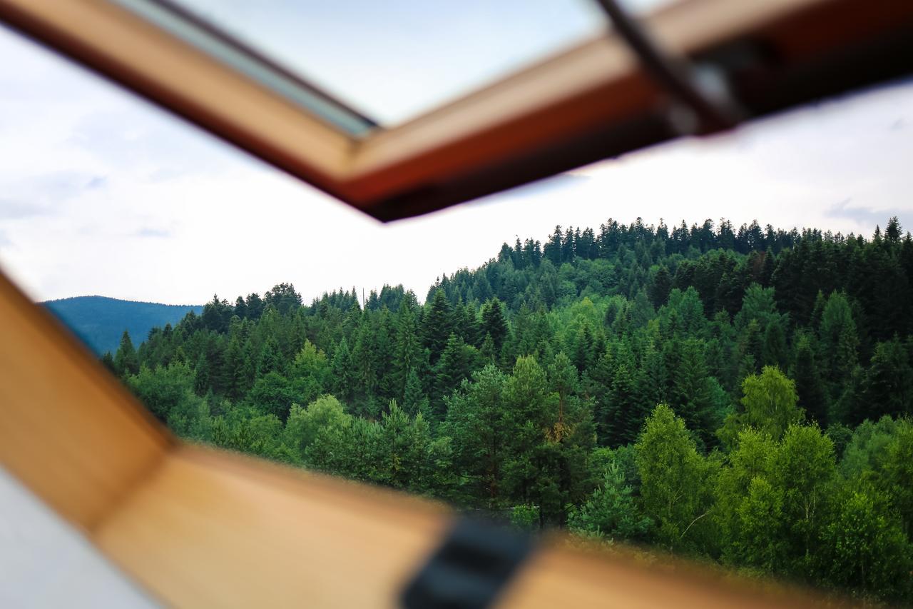 Villa Buhiv Skhidnytsia Dış mekan fotoğraf