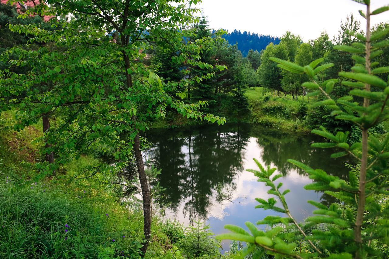 Villa Buhiv Skhidnytsia Dış mekan fotoğraf