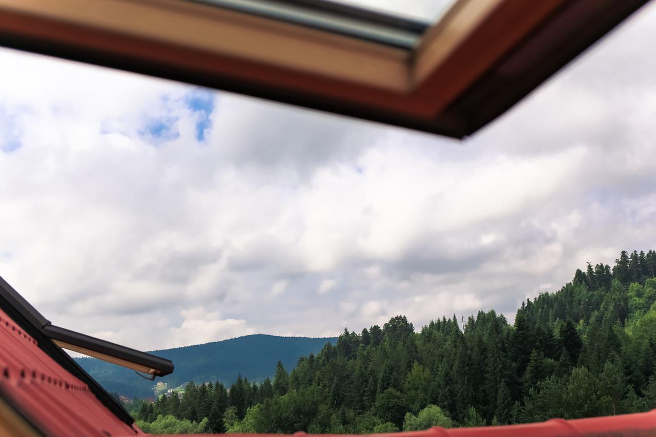 Villa Buhiv Skhidnytsia Dış mekan fotoğraf